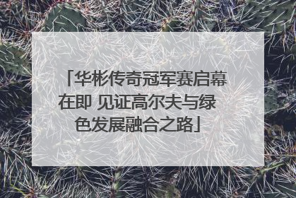 华彬传奇冠军赛启幕在即 见证高尔夫与绿色发展融合之路