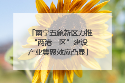 南宁五象新区力推“两港一区”建设 产业集聚效应凸显