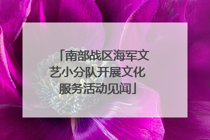 南部战区海军文艺小分队开展文化服务活动见闻