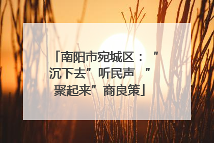 南阳市宛城区：“沉下去”听民声 “聚起来”商良策