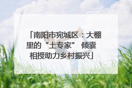南阳市宛城区：大棚里的“土专家” 倾囊相授助力乡村振兴
