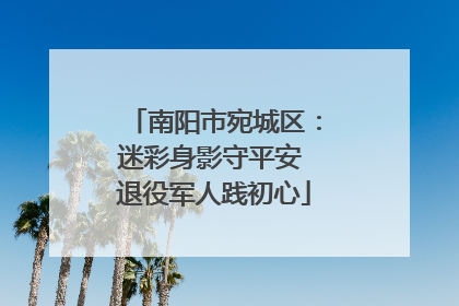 南阳市宛城区：迷彩身影守平安 退役军人践初心