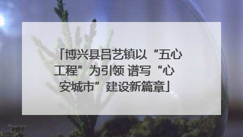 博兴县吕艺镇以“五心工程”为引领 谱写“心安城市”建设新篇章