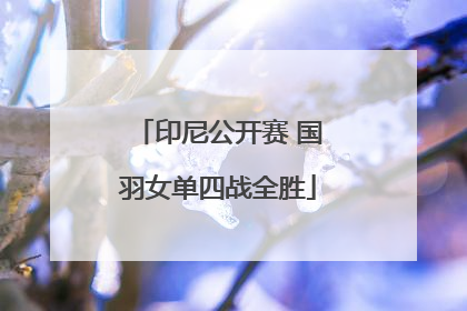 印尼公开赛 国羽女单四战全胜