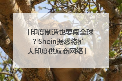 印度制造也要闯全球？Shein据悉将扩大印度供应商网络