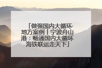 做强国内大循环·地方案例丨宁波舟山港：畅通国内大循环海铁联运走天下