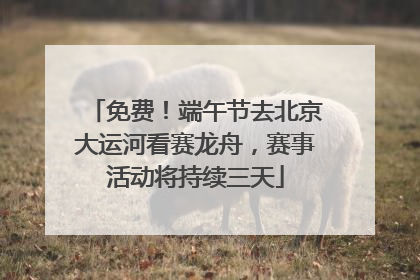 免费！端午节去北京大运河看赛龙舟，赛事活动将持续三天