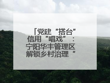 党建“搭台”信用“唱戏”：宁阳华丰管理区解锁乡村治理“信用密码”
