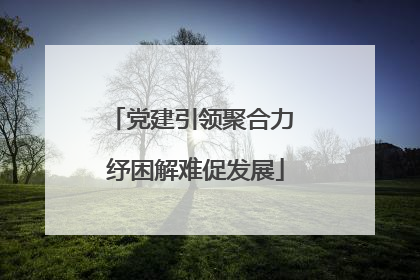 党建引领聚合力 纾困解难促发展