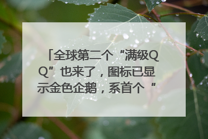 全球第二个“满级QQ”也来了，图标已显示金色企鹅，系首个“满级QQ”的小号