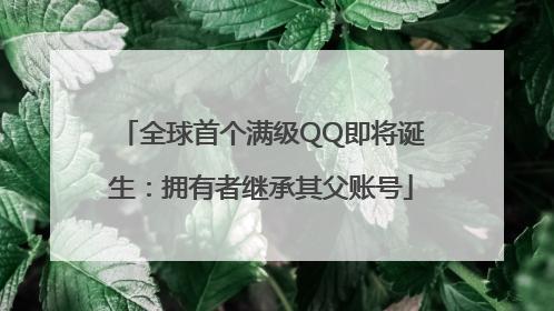 全球首个满级QQ即将诞生：拥有者继承其父账号