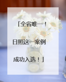 全省唯一！日照这一案例成功入选！