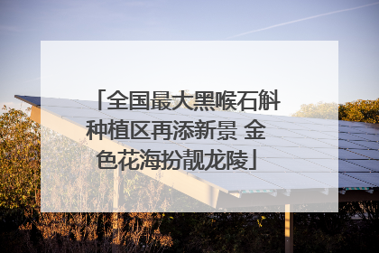 全国最大黑喉石斛种植区再添新景 金色花海扮靓龙陵