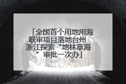 全国首个用地用海联审项目落地台州 浙江探索“地林草海”审批一次办