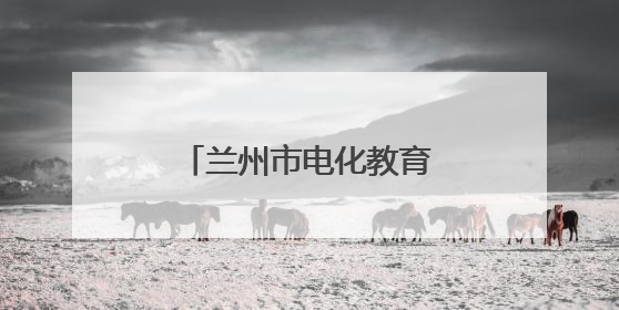 兰州市电化教育中心主任南星辉接受审查调查