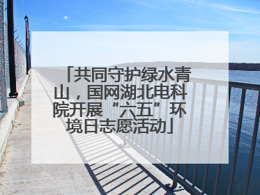 共同守护绿水青山，国网湖北电科院开展“六五”环境日志愿活动