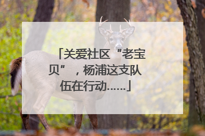 关爱社区“老宝贝”，杨浦这支队伍在行动……