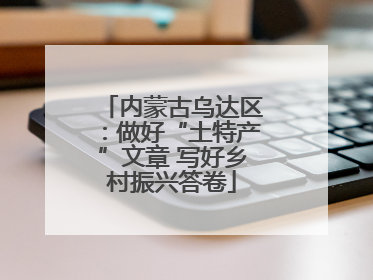 内蒙古乌达区：做好“土特产”文章 写好乡村振兴答卷