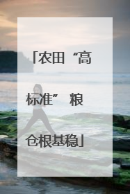 农田“高标准” 粮仓根基稳