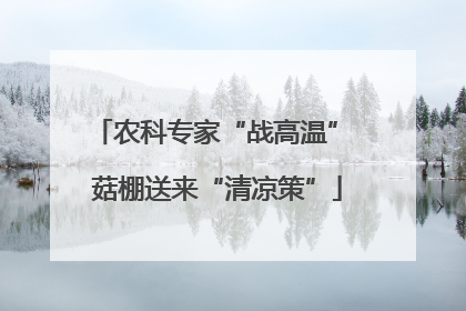 农科专家“战高温” 菇棚送来“清凉策”