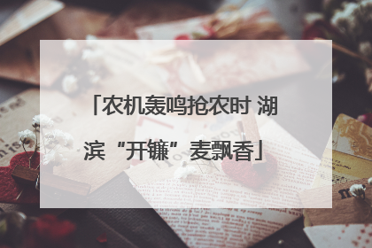 农机轰鸣抢农时 湖滨“开镰”麦飘香