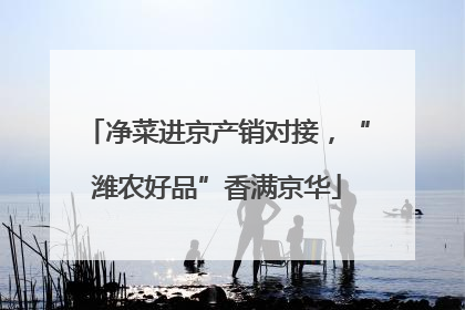 净菜进京产销对接，“潍农好品”香满京华
