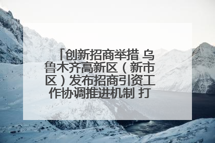 创新招商举措 乌鲁木齐高新区（新市区）发布招商引资工作协调推进机制 打造投资发展新高地