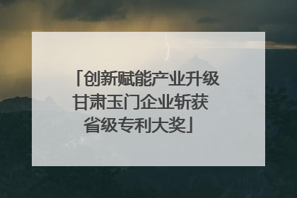 创新赋能产业升级 甘肃玉门企业斩获省级专利大奖