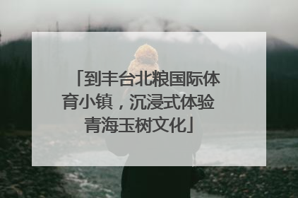 到丰台北粮国际体育小镇，沉浸式体验青海玉树文化
