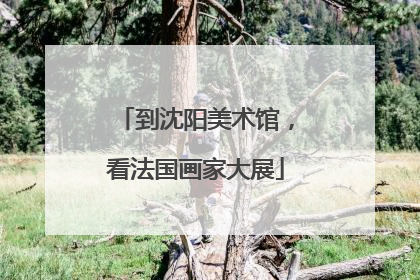 到沈阳美术馆，看法国画家大展
