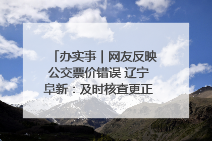 办实事｜网友反映公交票价错误 辽宁阜新：及时核查更正 加强实时巡检