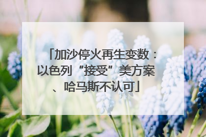 加沙停火再生变数：以色列“接受”美方案、哈马斯不认可