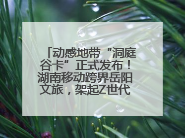 动感地带“洞庭谷卡”正式发布！湖南移动跨界岳阳文旅，架起Z世代文化共振桥梁