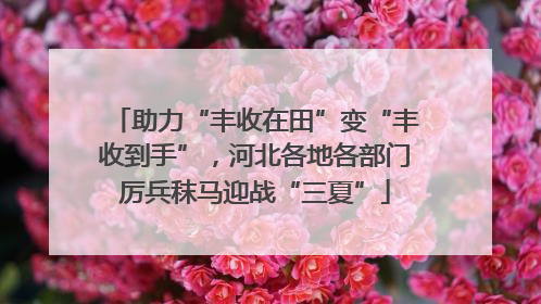 助力“丰收在田”变“丰收到手”，河北各地各部门厉兵秣马迎战“三夏”
