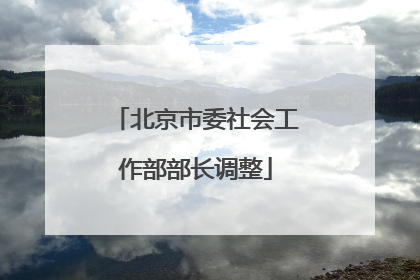 北京市委社会工作部部长调整