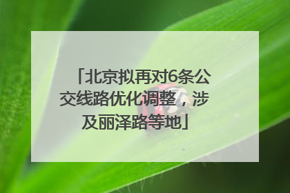 北京拟再对6条公交线路优化调整，涉及丽泽路等地