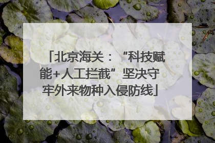 北京海关：“科技赋能+人工拦截”坚决守牢外来物种入侵防线