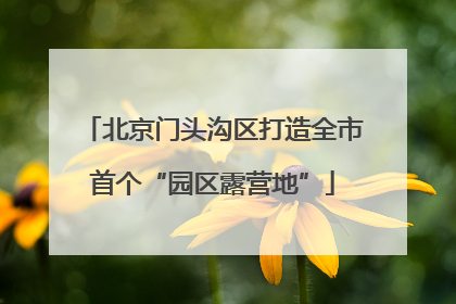 北京门头沟区打造全市首个“园区露营地”