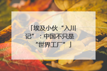 埃及小伙“入川记”：中国不只是“世界工厂”