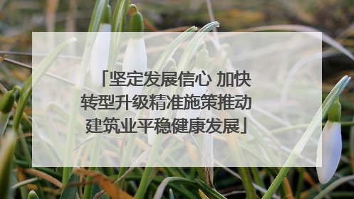 坚定发展信心 加快转型升级精准施策推动建筑业平稳健康发展