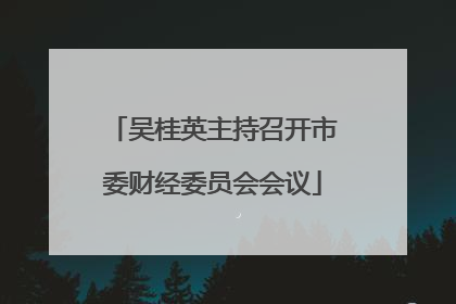 吴桂英主持召开市委财经委员会会议