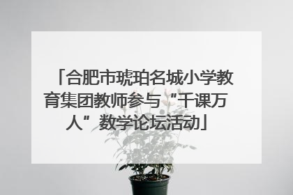 合肥市琥珀名城小学教育集团教师参与“千课万人”数学论坛活动