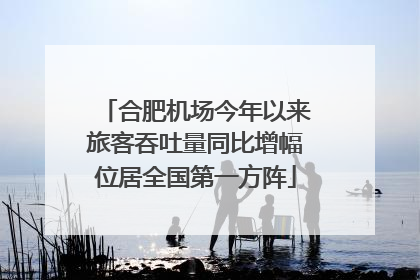 合肥机场今年以来旅客吞吐量同比增幅位居全国第一方阵