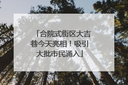 合院式街区大吉巷今天亮相！吸引大批市民涌入