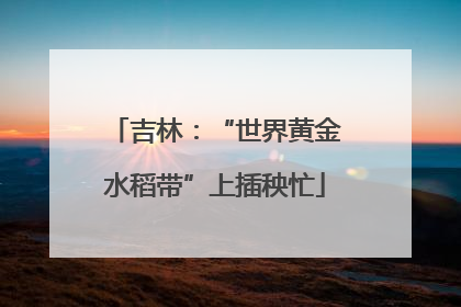 吉林：“世界黄金水稻带”上插秧忙