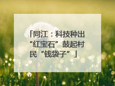 同江：科技种出“红宝石”鼓起村民“钱袋子”
