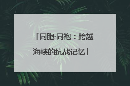 同胞·同袍：跨越海峡的抗战记忆