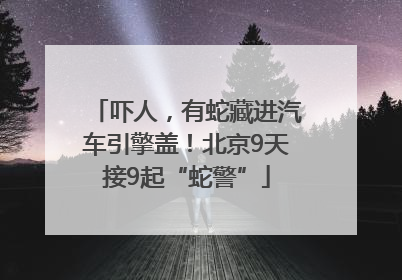 吓人，有蛇藏进汽车引擎盖！北京9天接9起“蛇警”
