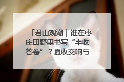 君山观潮｜谁在枣庄田野里书写“丰收答卷”？夏收交响与特色产业，共绘乡村振兴新图景