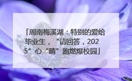 周南梅溪湖：特别的爱给毕业生，“请回答，2025”心“晴”跑燃爆校园
